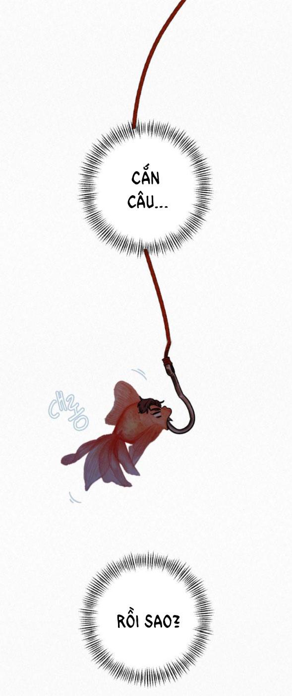 Tình Yêu Trong Sáng 