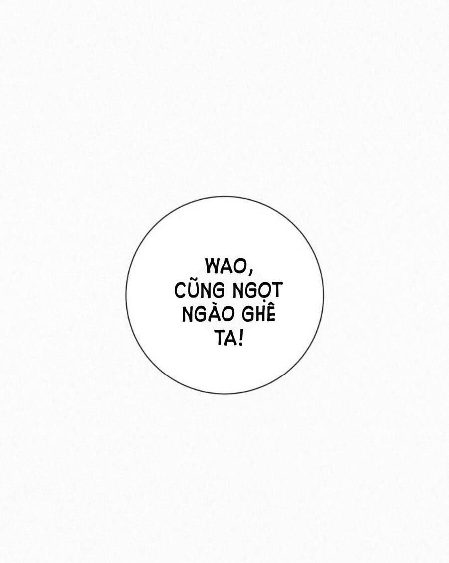 Tình Yêu Trong Sáng 