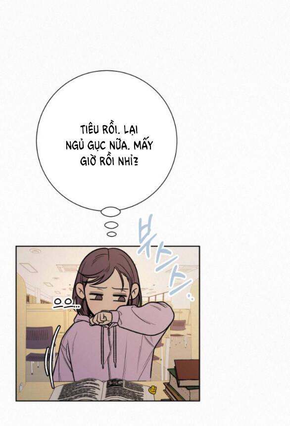 Tình Yêu Trong Sáng 