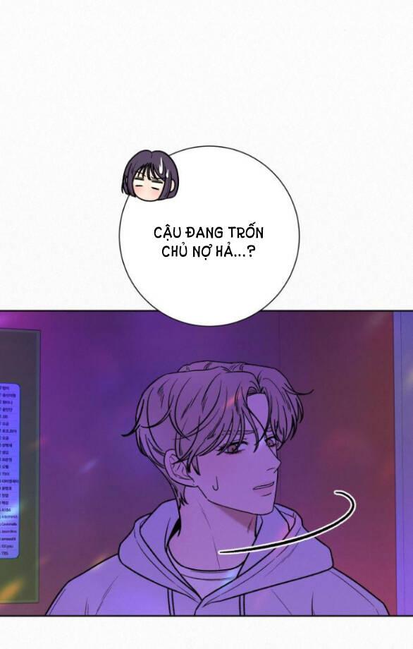 Tình Yêu Trong Sáng 