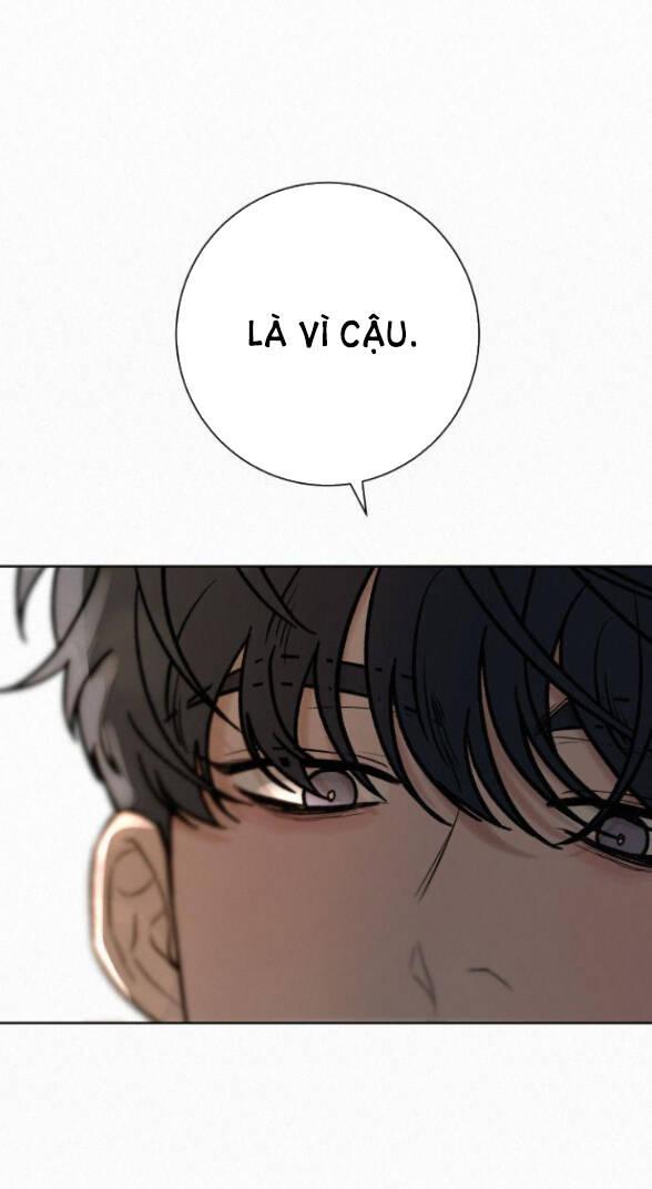 Tình Yêu Trong Sáng 