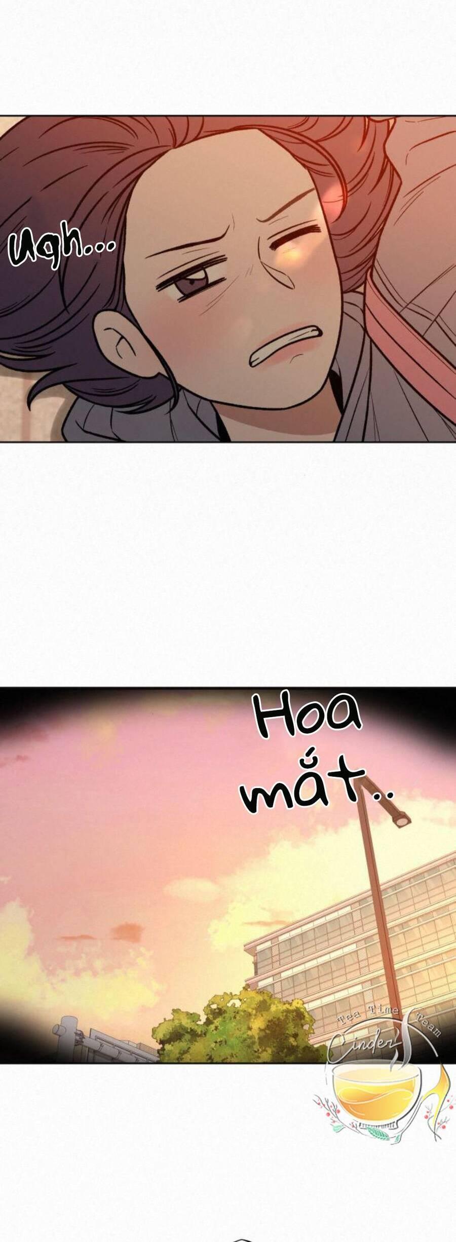 Tình Yêu Trong Sáng 