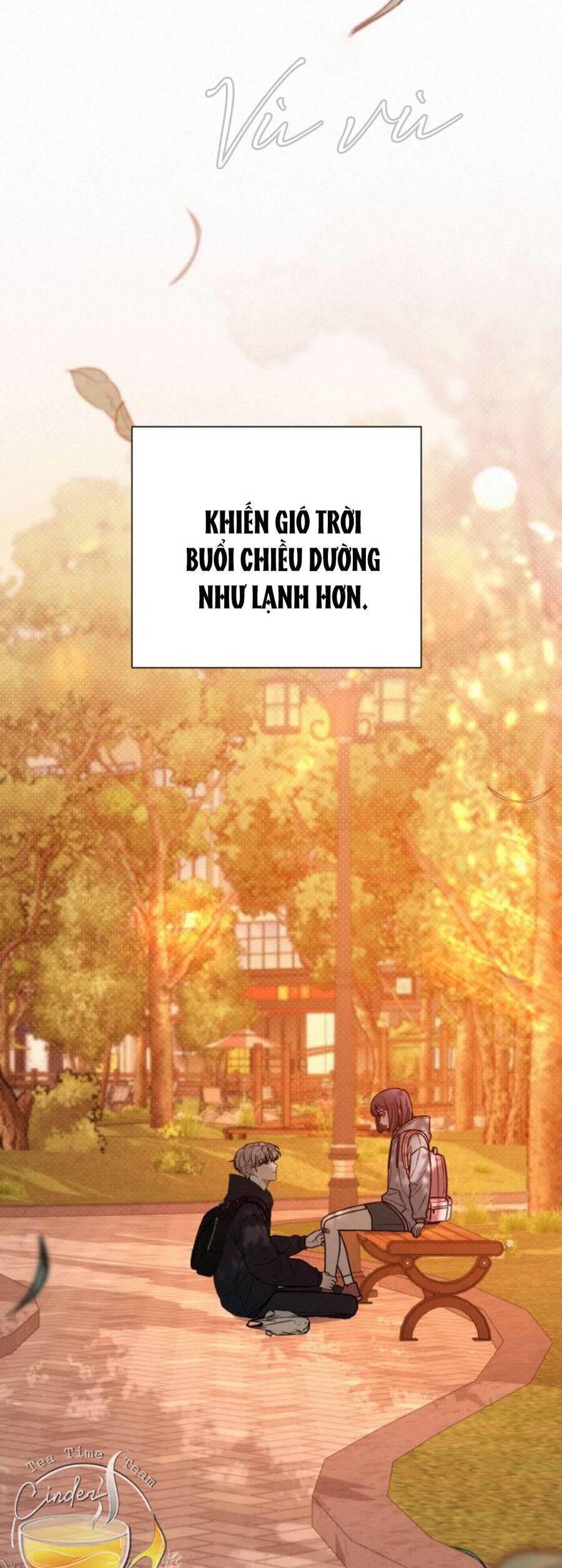 Tình Yêu Trong Sáng 