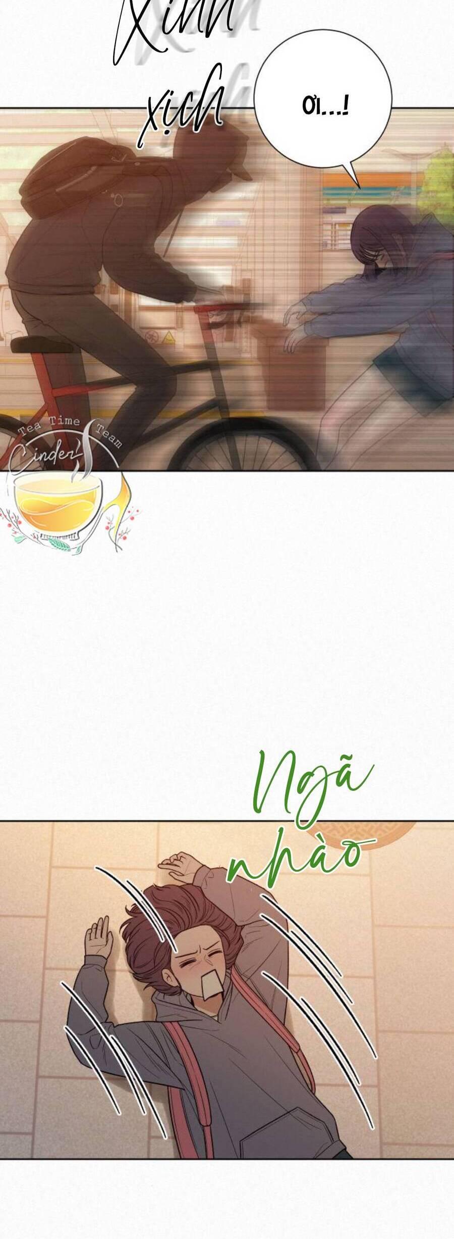 Tình Yêu Trong Sáng 