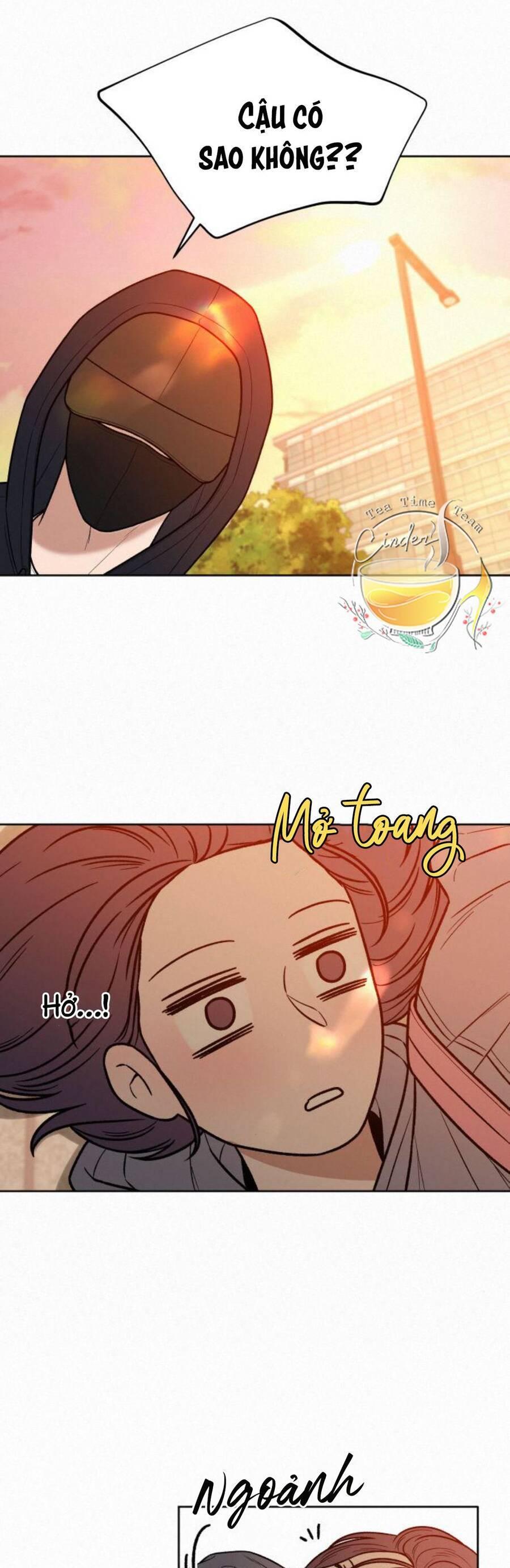 Tình Yêu Trong Sáng 