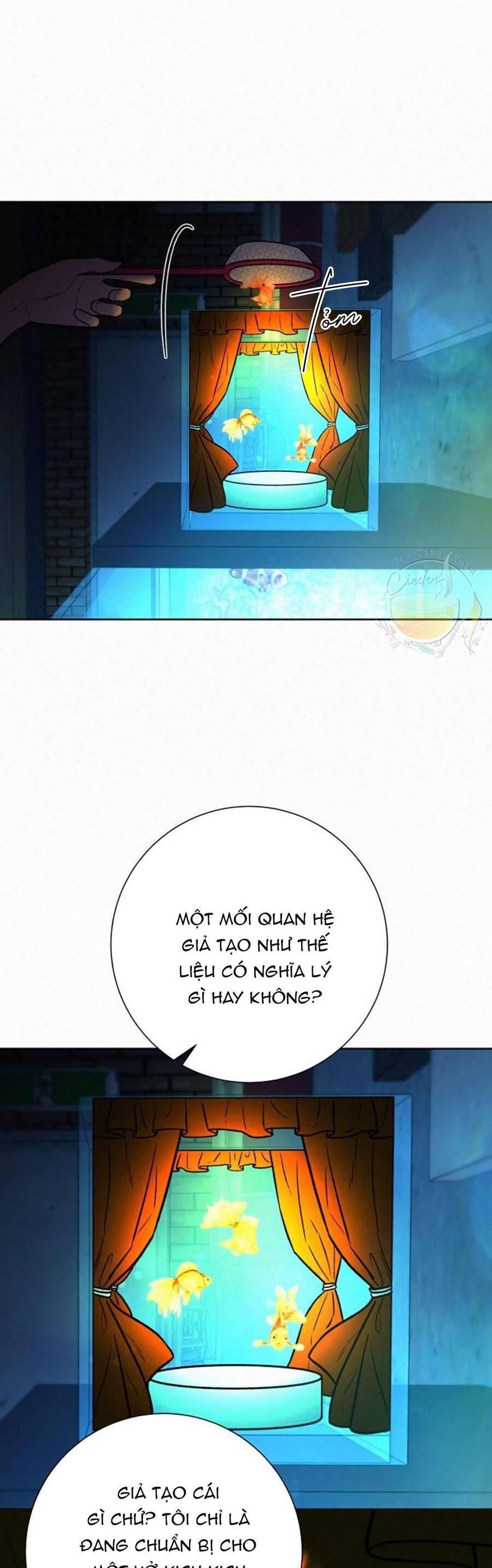 Tình Yêu Trong Sáng 
