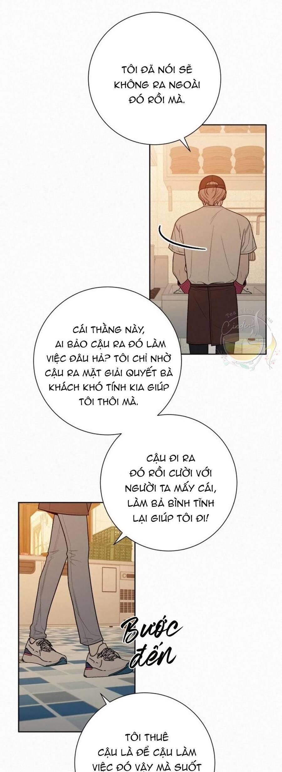 Tình Yêu Trong Sáng 