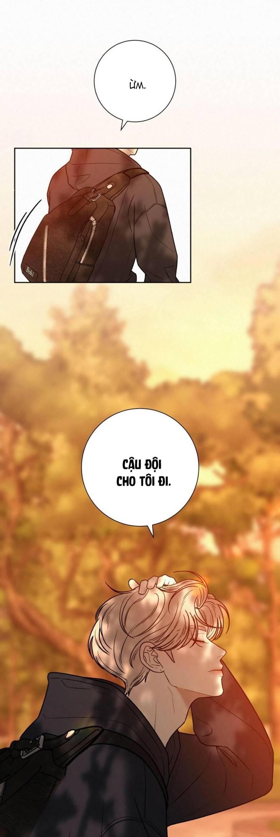 Tình Yêu Trong Sáng 