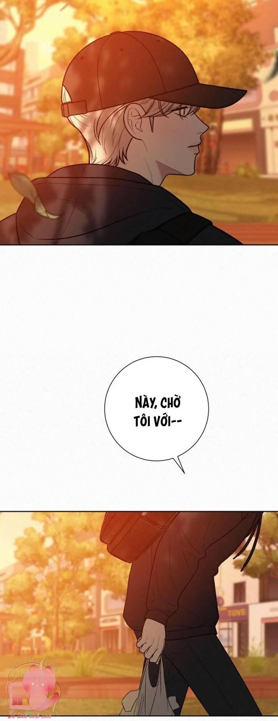 Tình Yêu Trong Sáng 