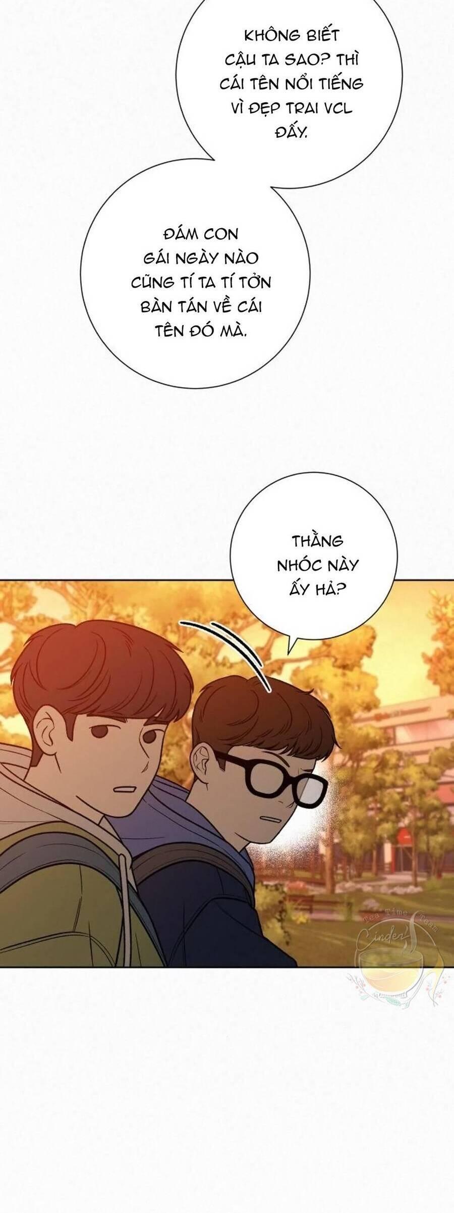 Tình Yêu Trong Sáng 