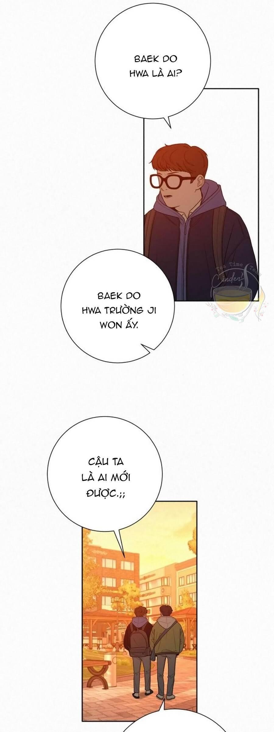 Tình Yêu Trong Sáng 