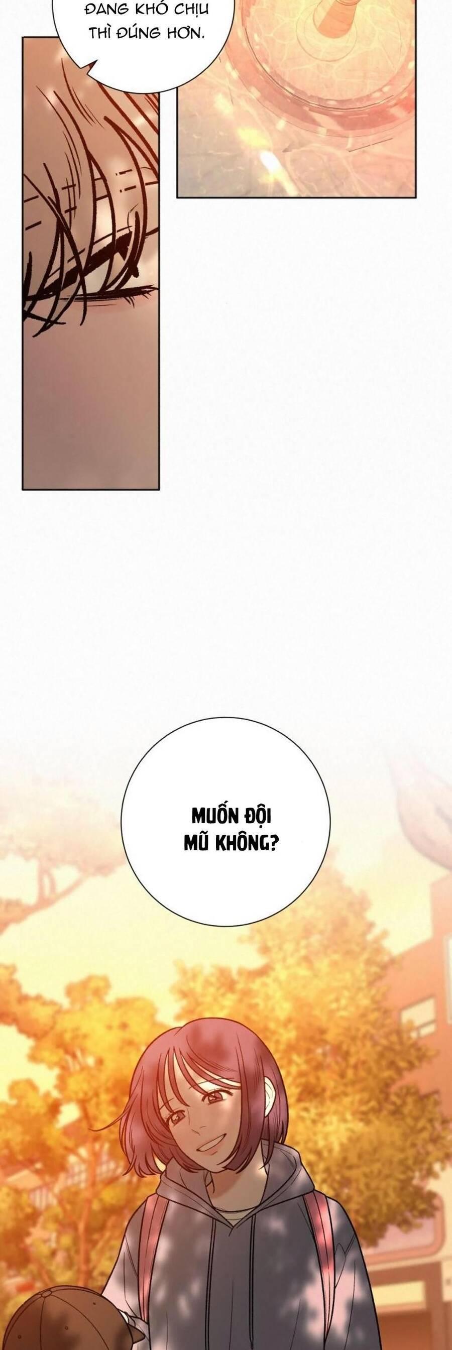 Tình Yêu Trong Sáng 