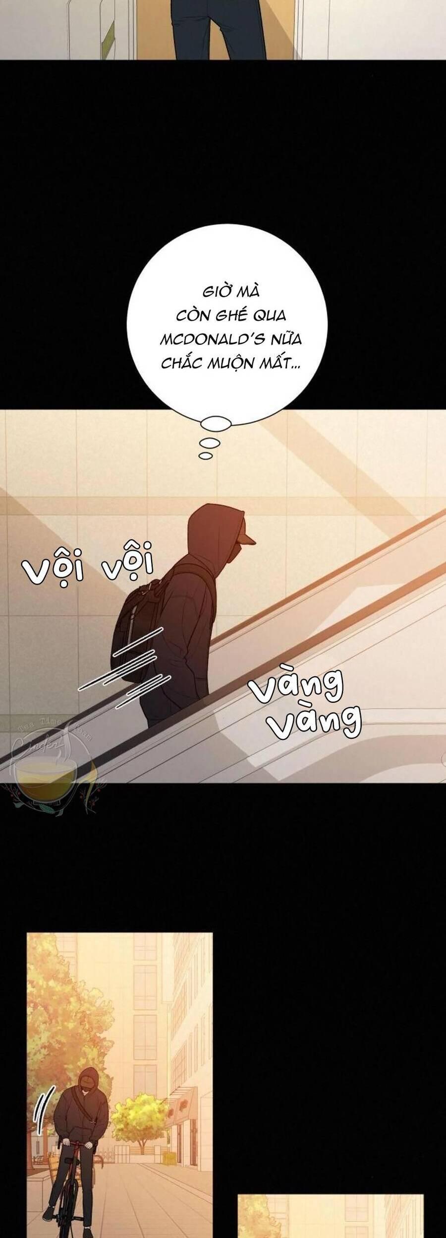 Tình Yêu Trong Sáng 