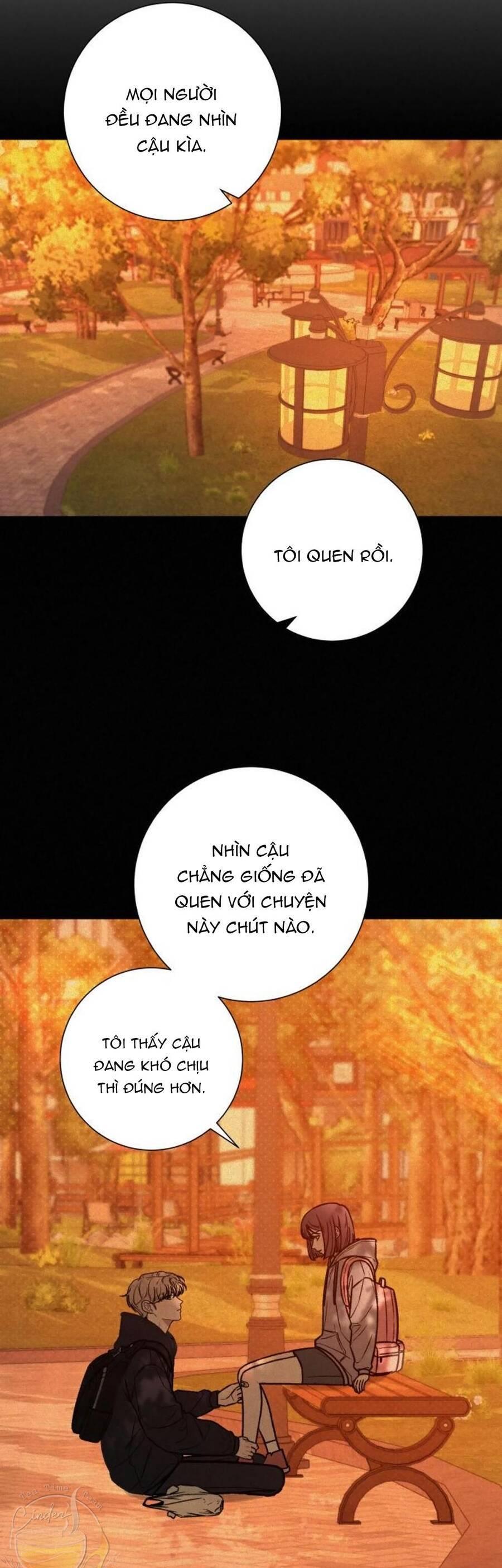 Tình Yêu Trong Sáng 