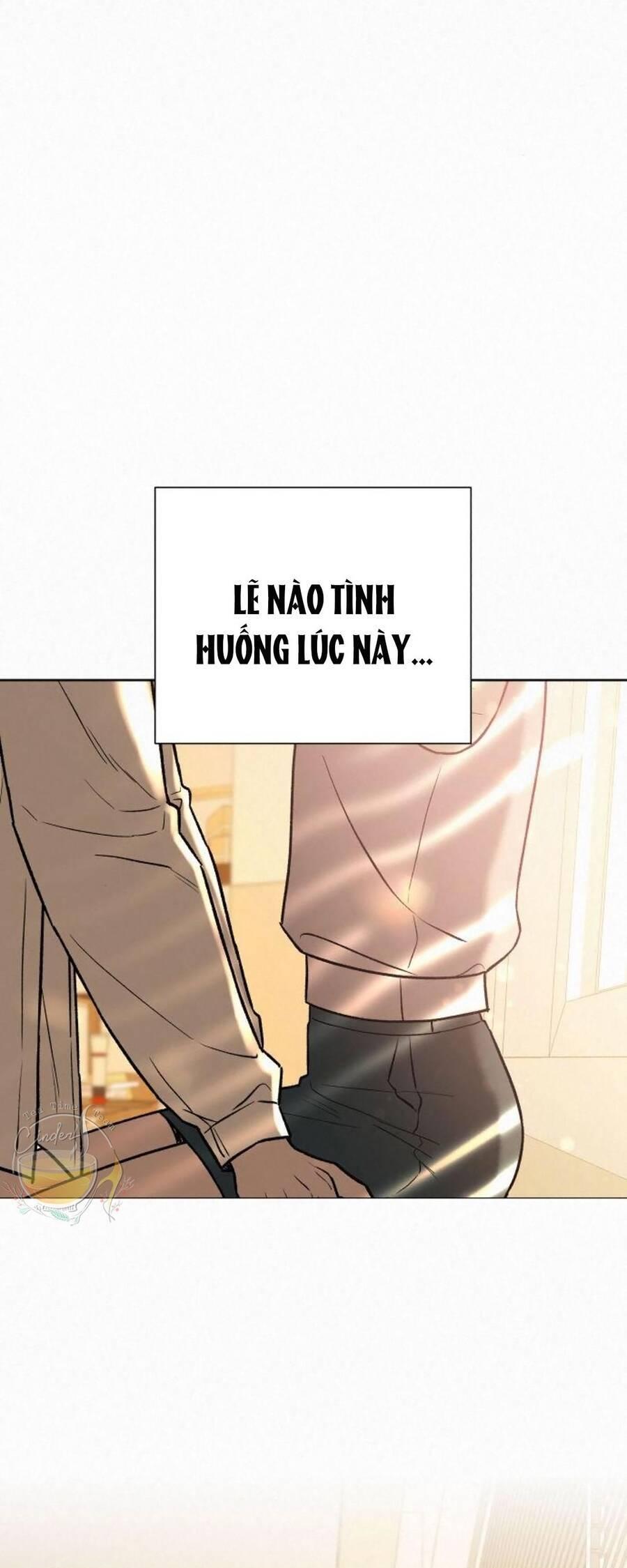 Tình Yêu Trong Sáng 