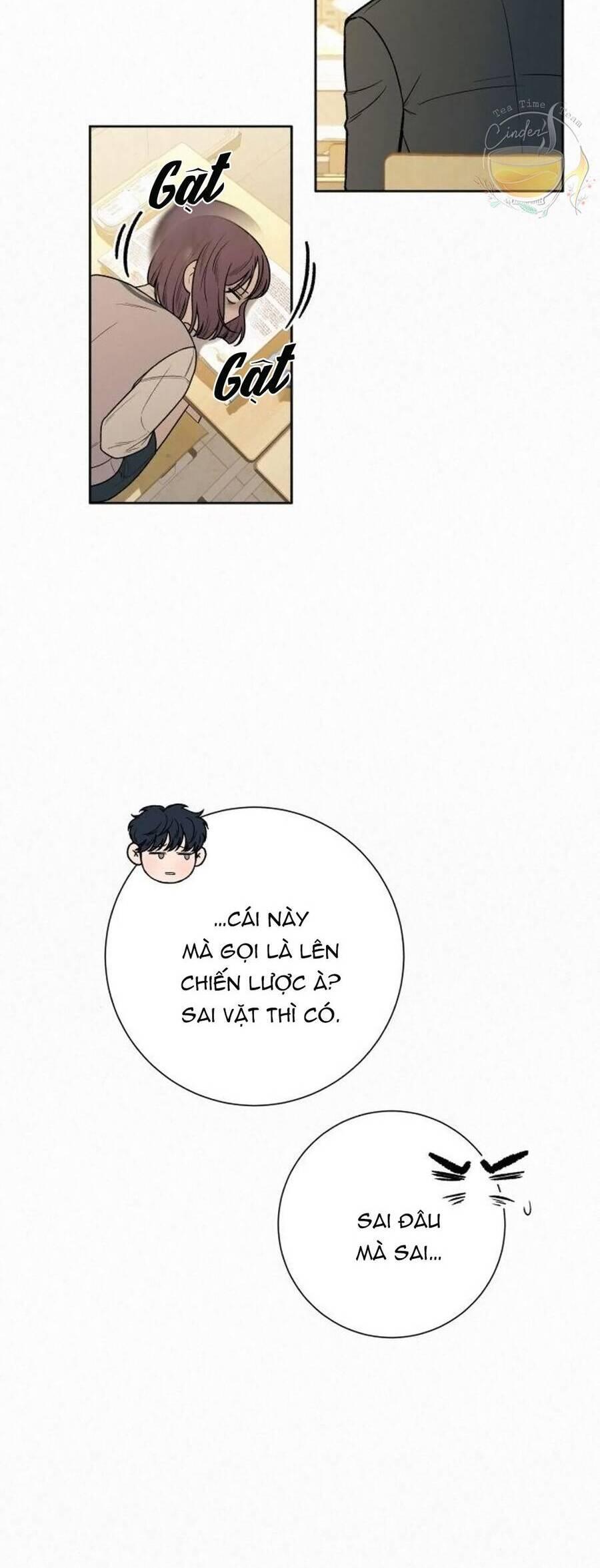 Tình Yêu Trong Sáng 