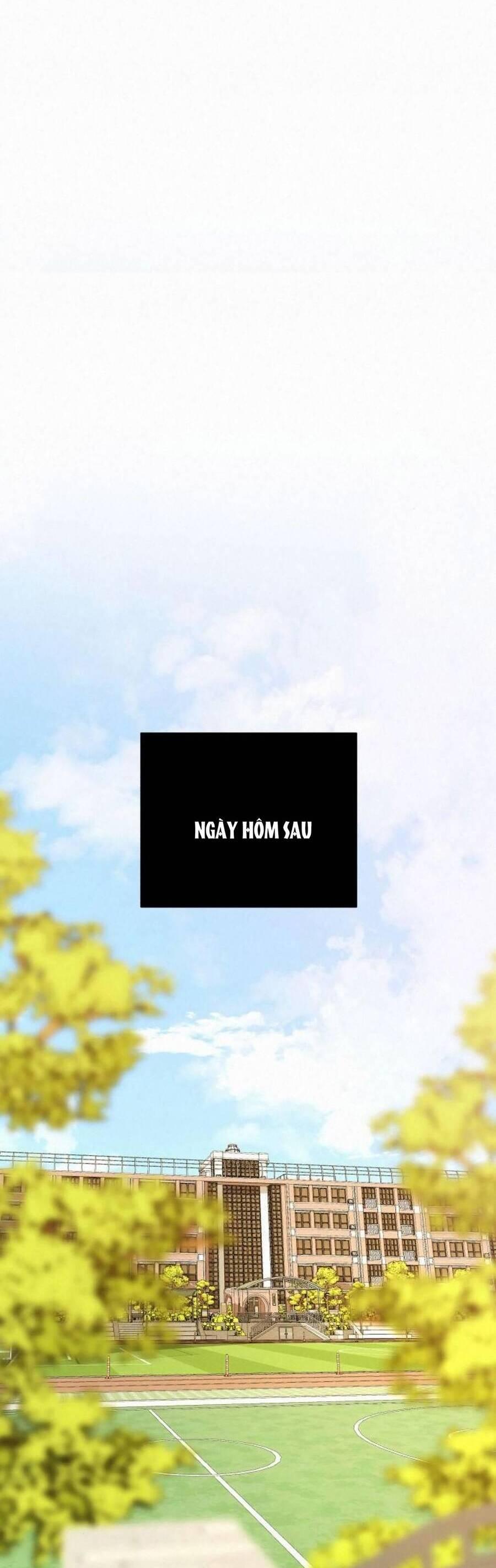 Tình Yêu Trong Sáng 