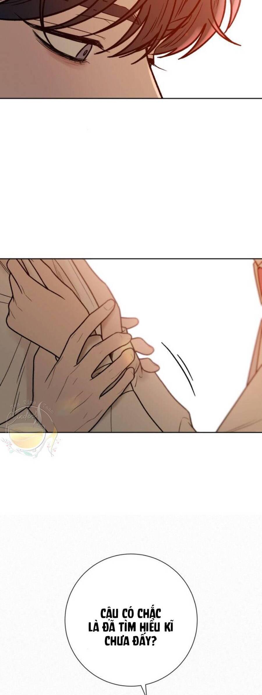 Tình Yêu Trong Sáng 