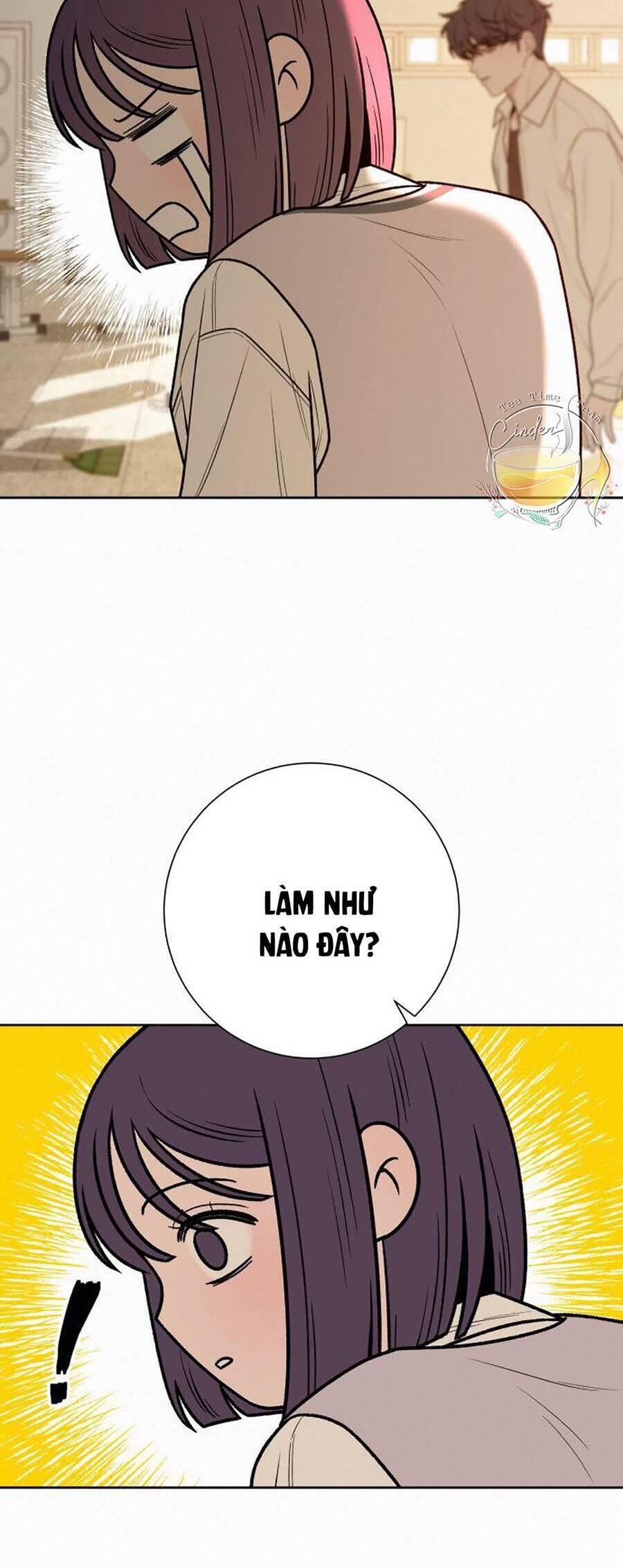 Tình Yêu Trong Sáng 