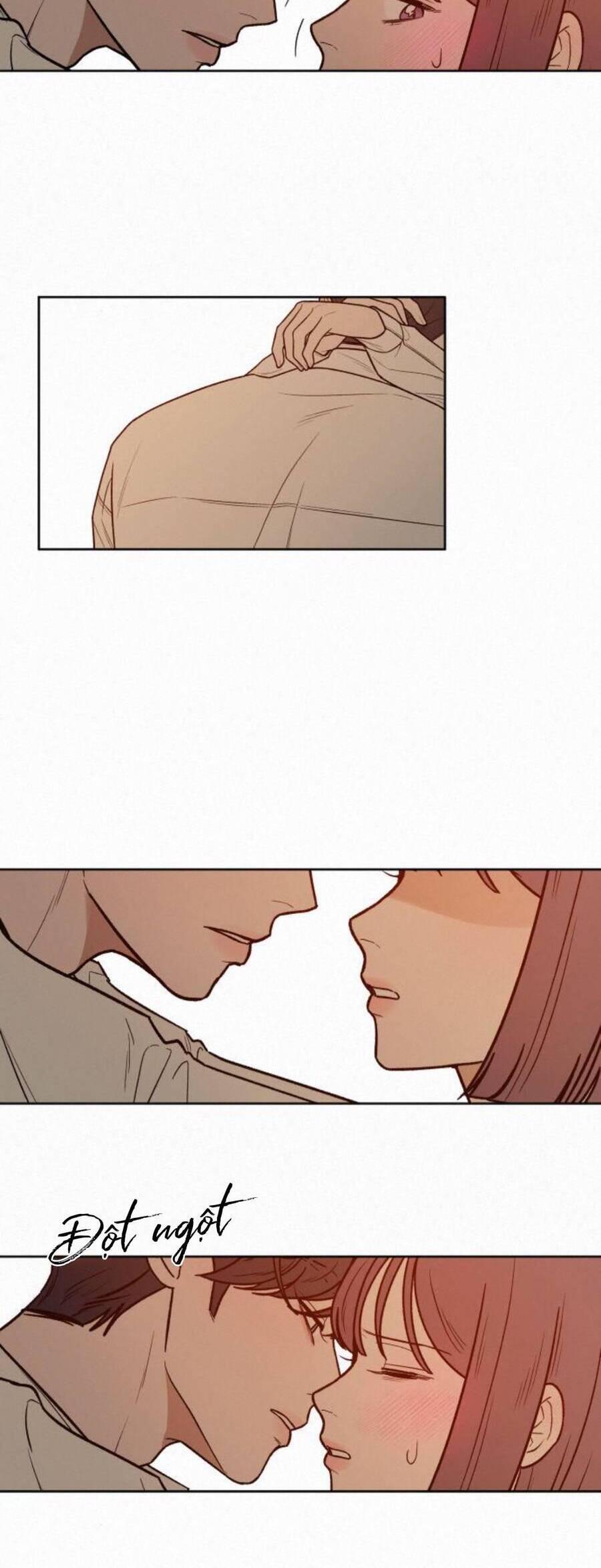 Tình Yêu Trong Sáng 