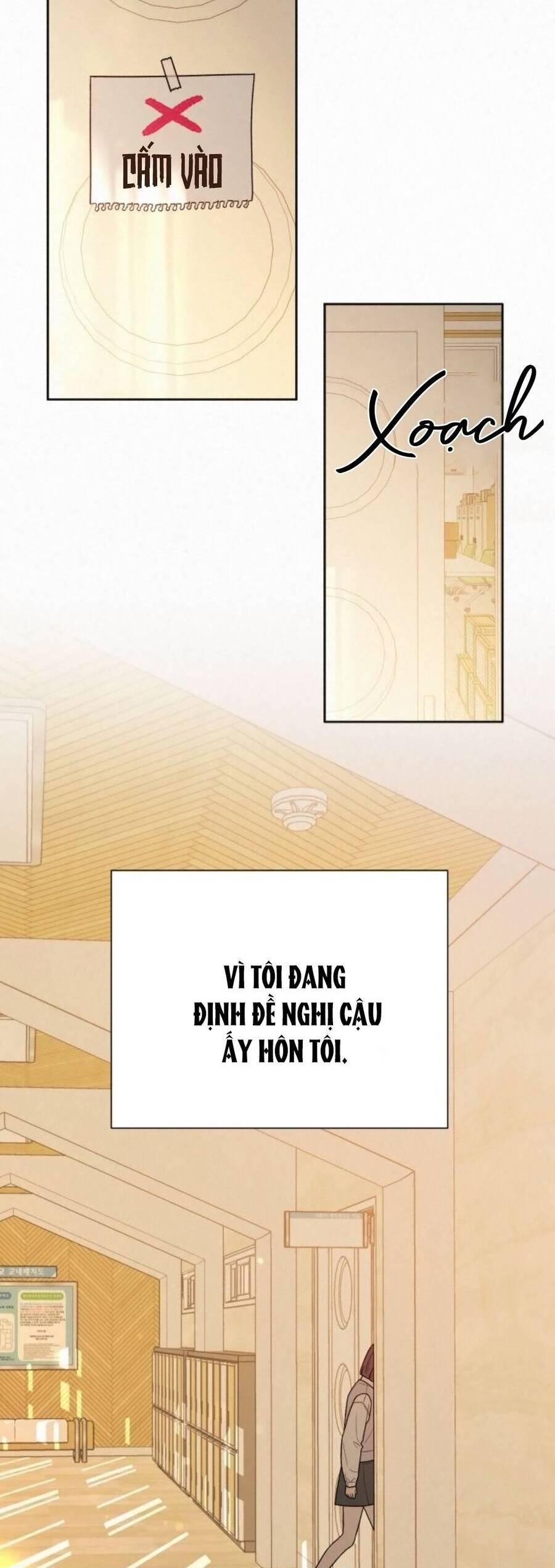 Tình Yêu Trong Sáng 