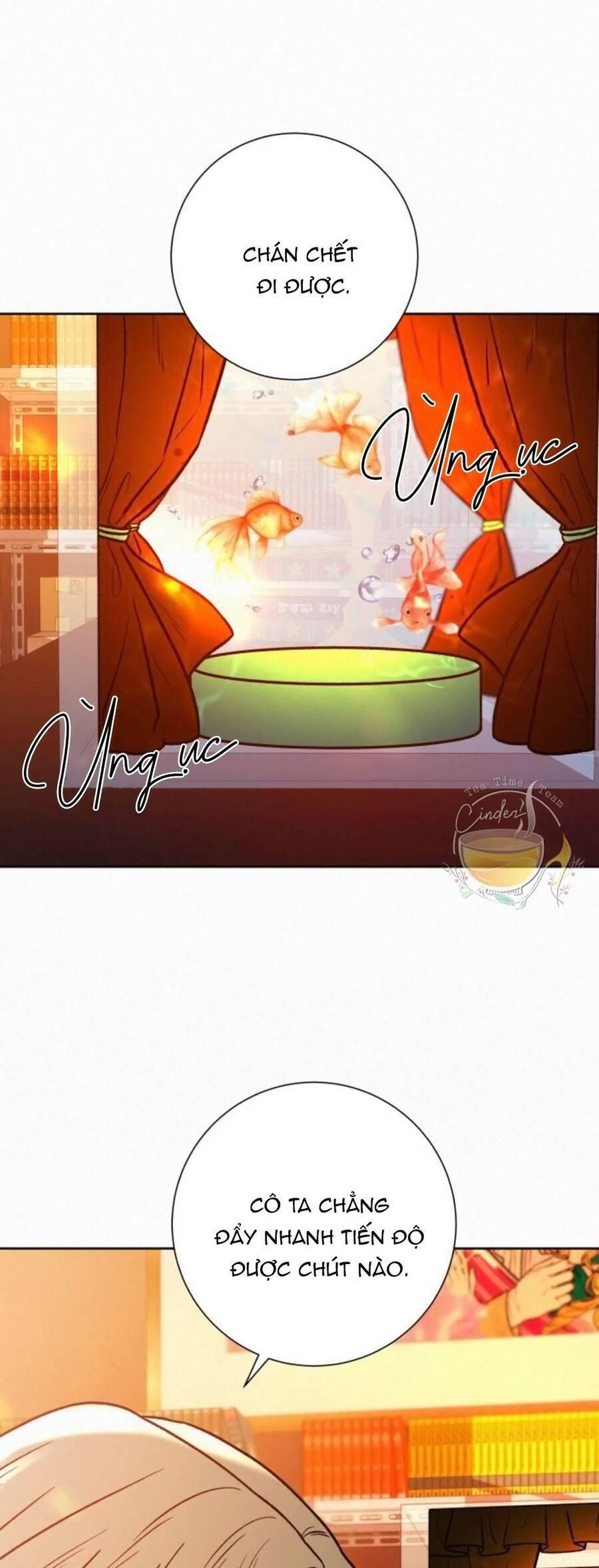Tình Yêu Trong Sáng 