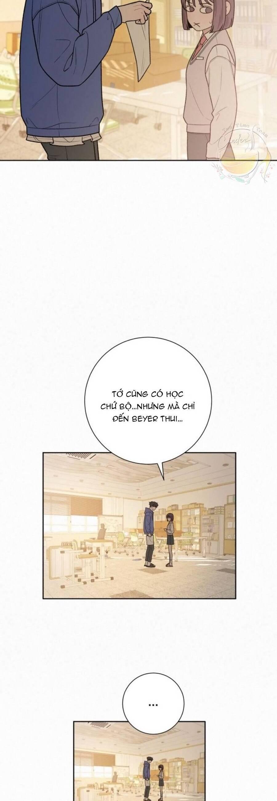 Tình Yêu Trong Sáng 