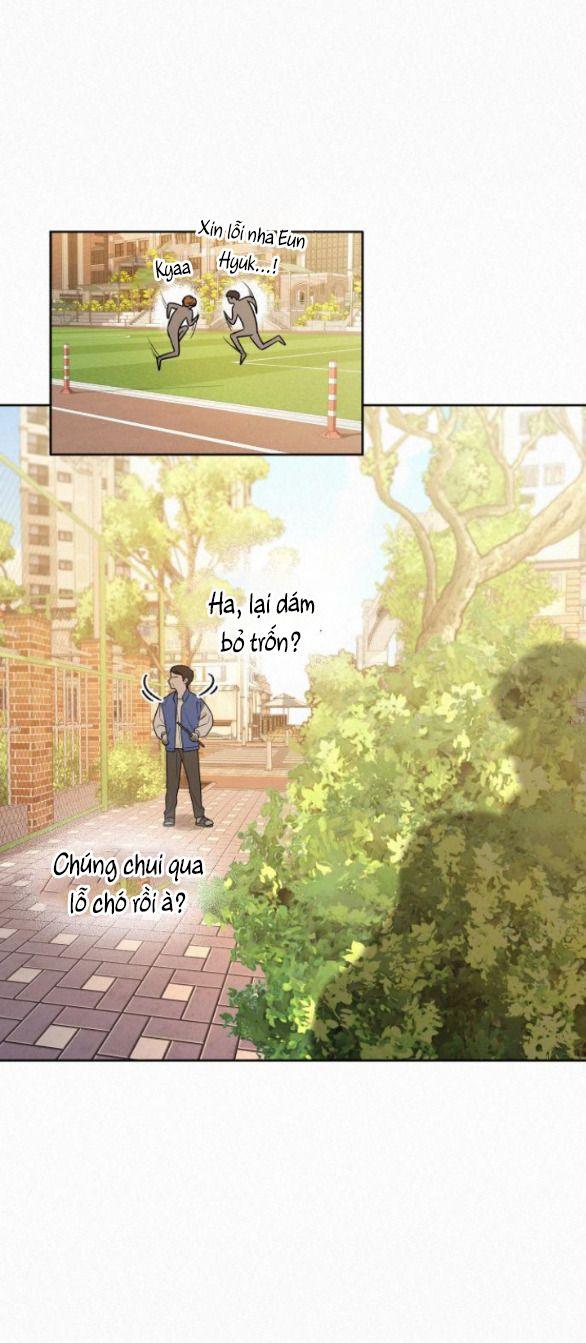 Tình Yêu Trong Sáng 