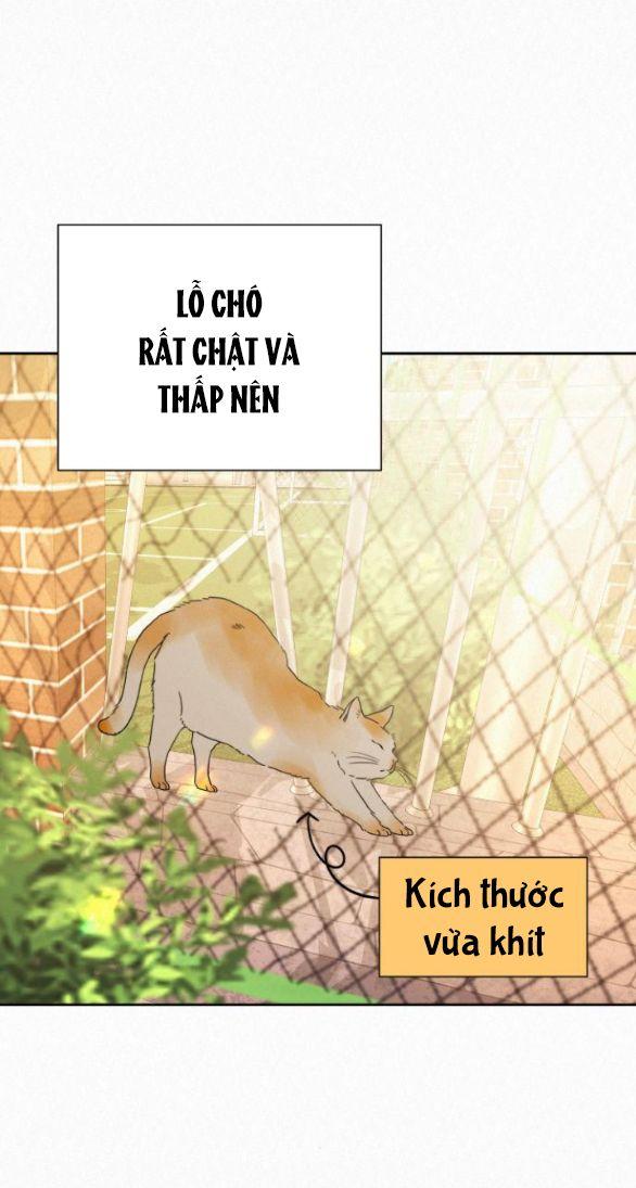 Tình Yêu Trong Sáng 