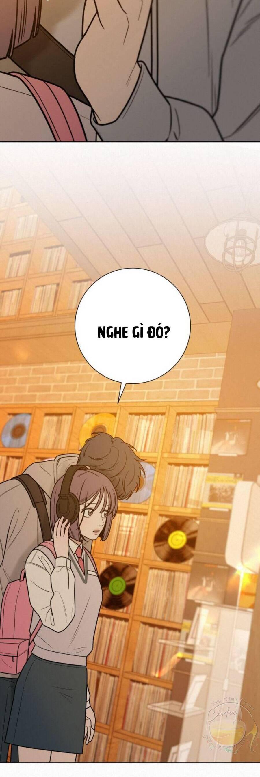 Tình Yêu Trong Sáng 