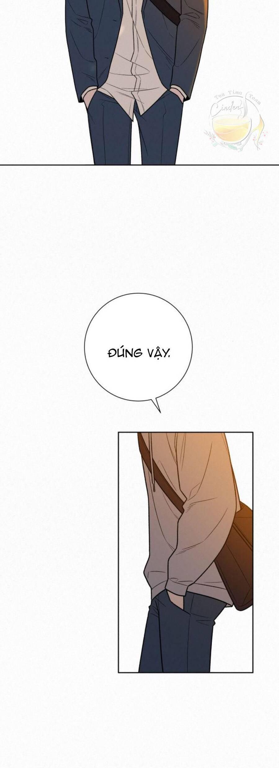 Tình Yêu Trong Sáng 
