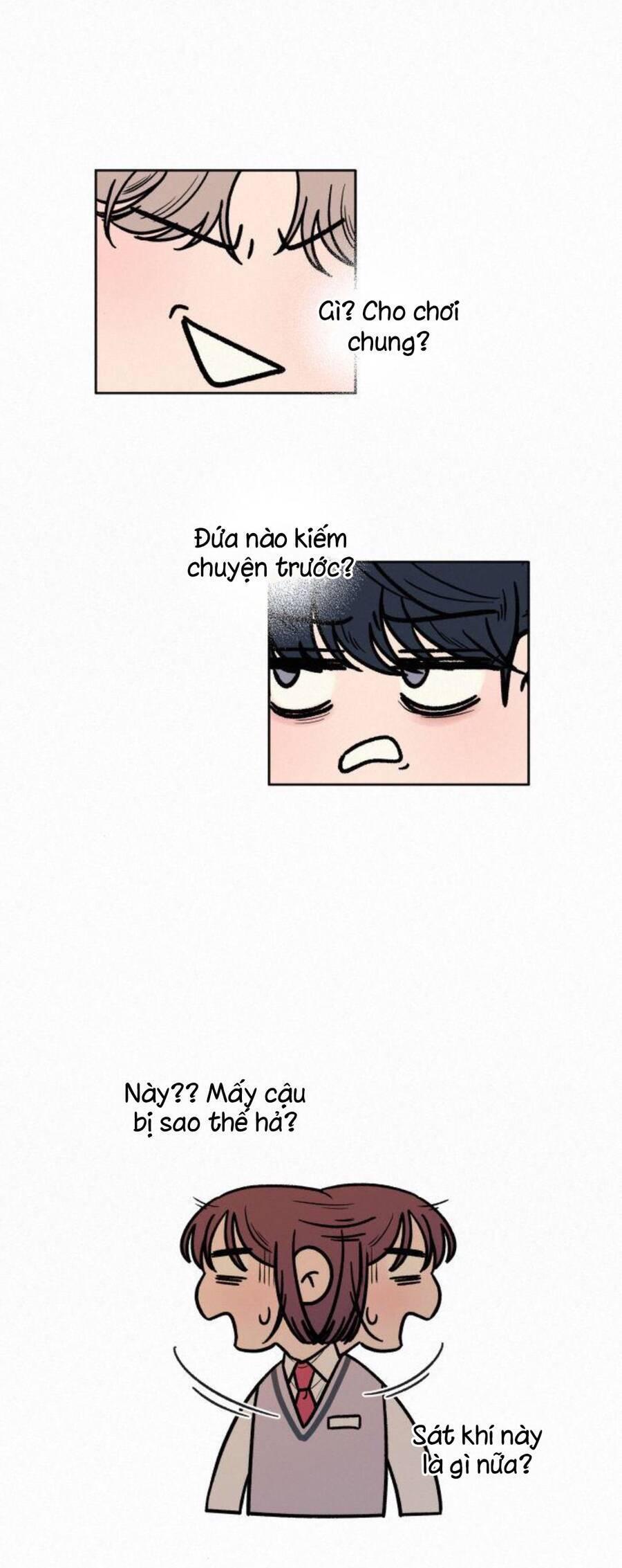 Tình Yêu Trong Sáng 