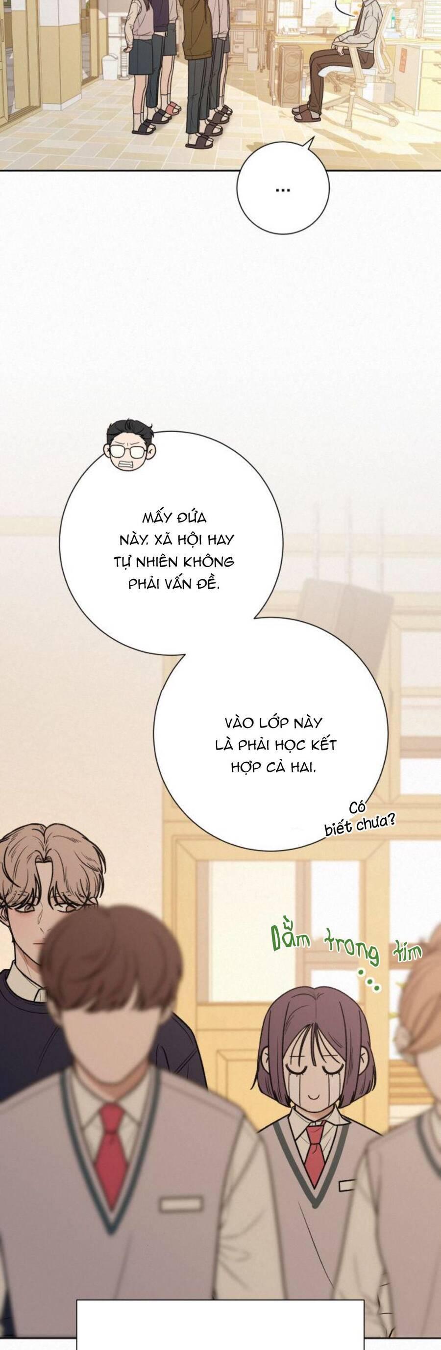 Tình Yêu Trong Sáng 