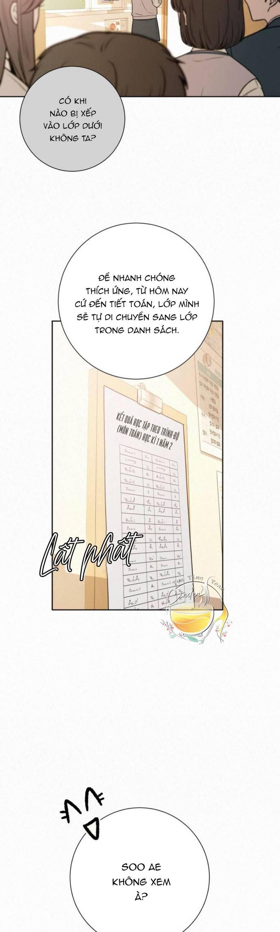Tình Yêu Trong Sáng 
