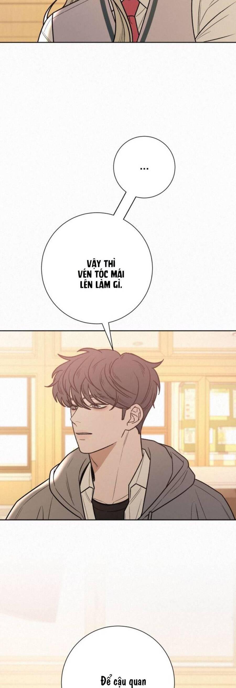 Tình Yêu Trong Sáng 