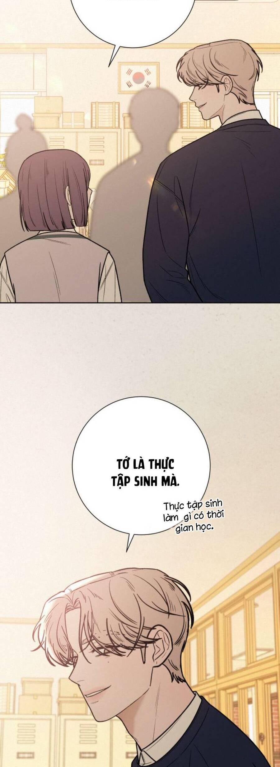 Tình Yêu Trong Sáng 