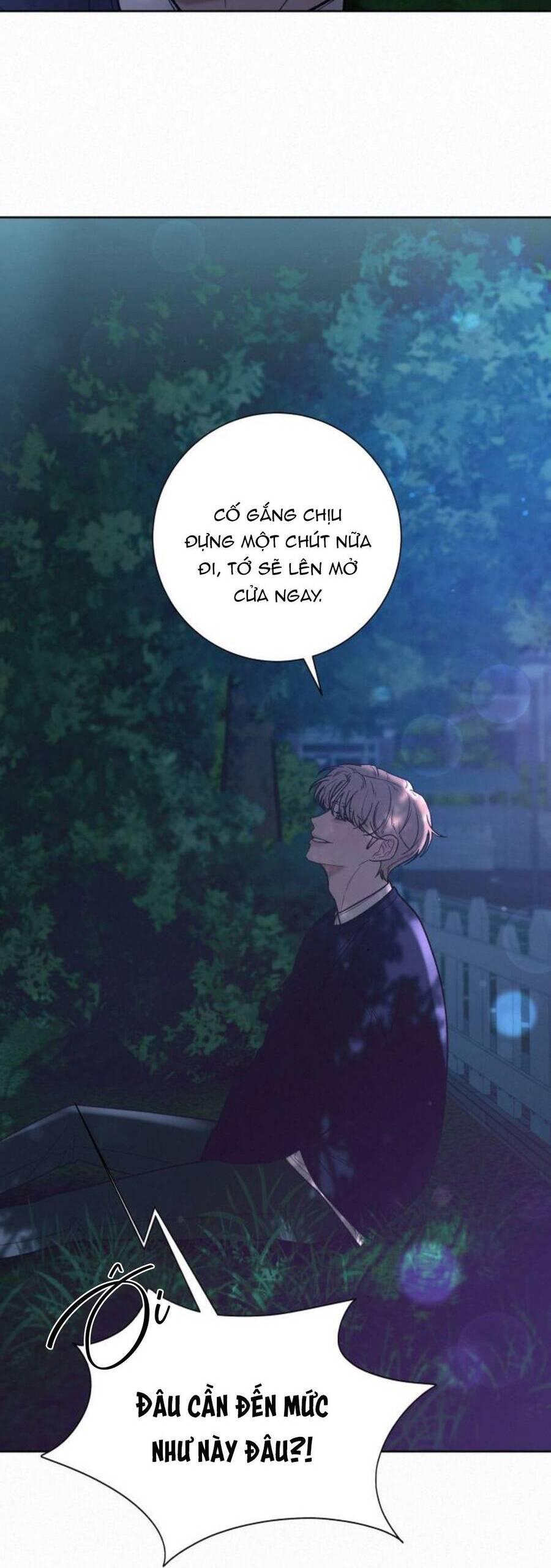 Tình Yêu Trong Sáng 