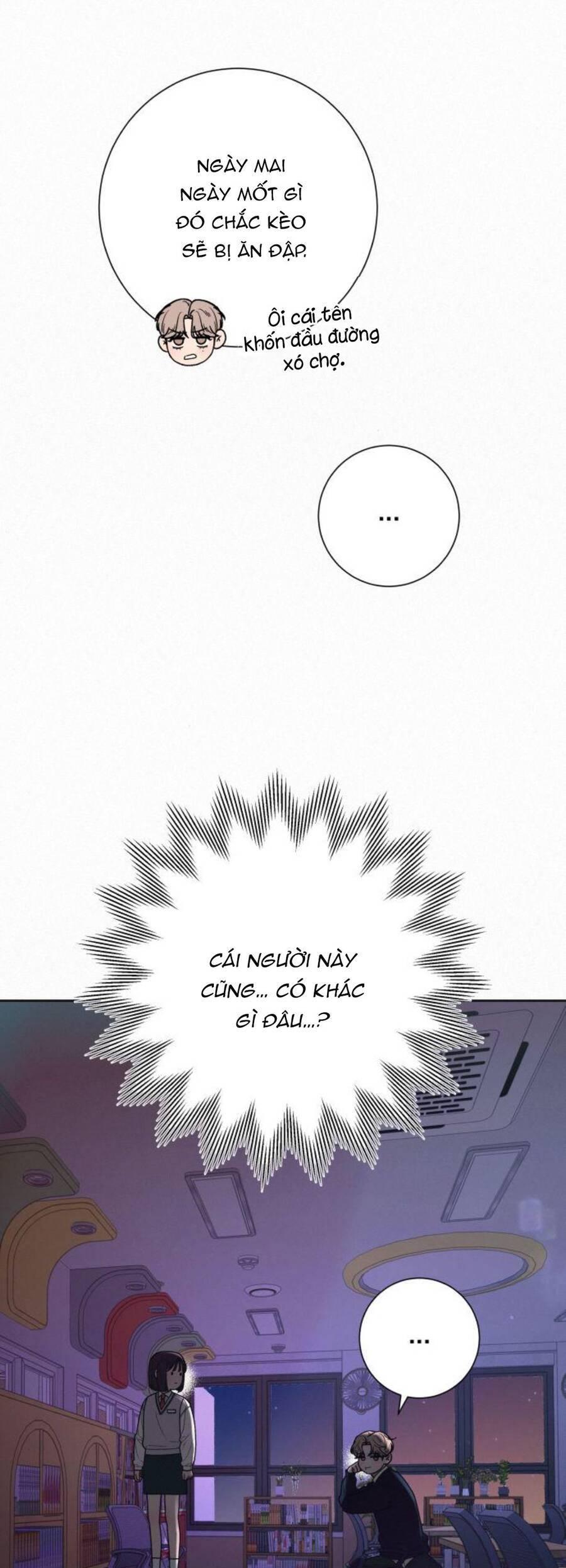 Tình Yêu Trong Sáng 