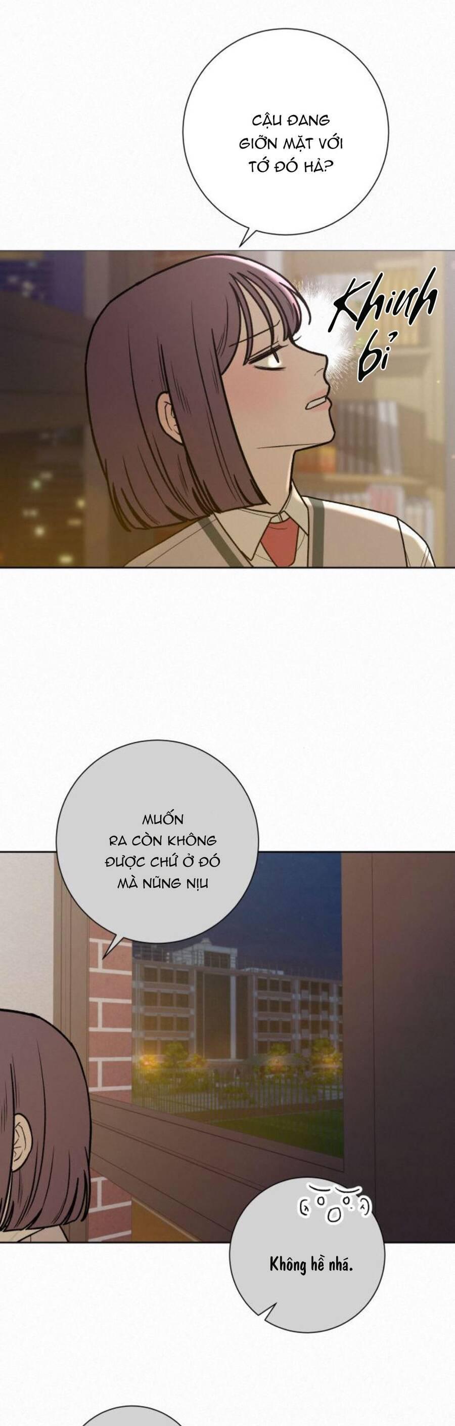 Tình Yêu Trong Sáng 