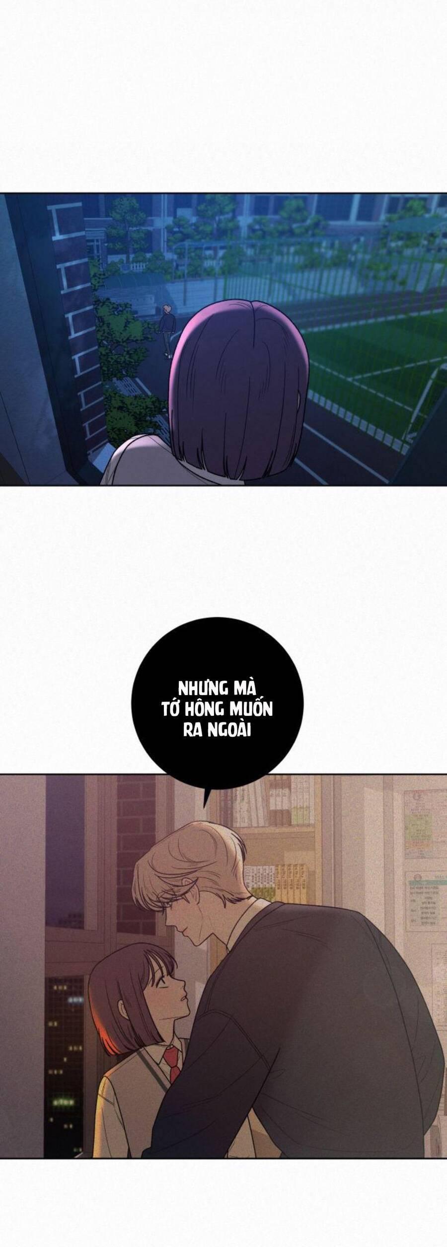 Tình Yêu Trong Sáng 