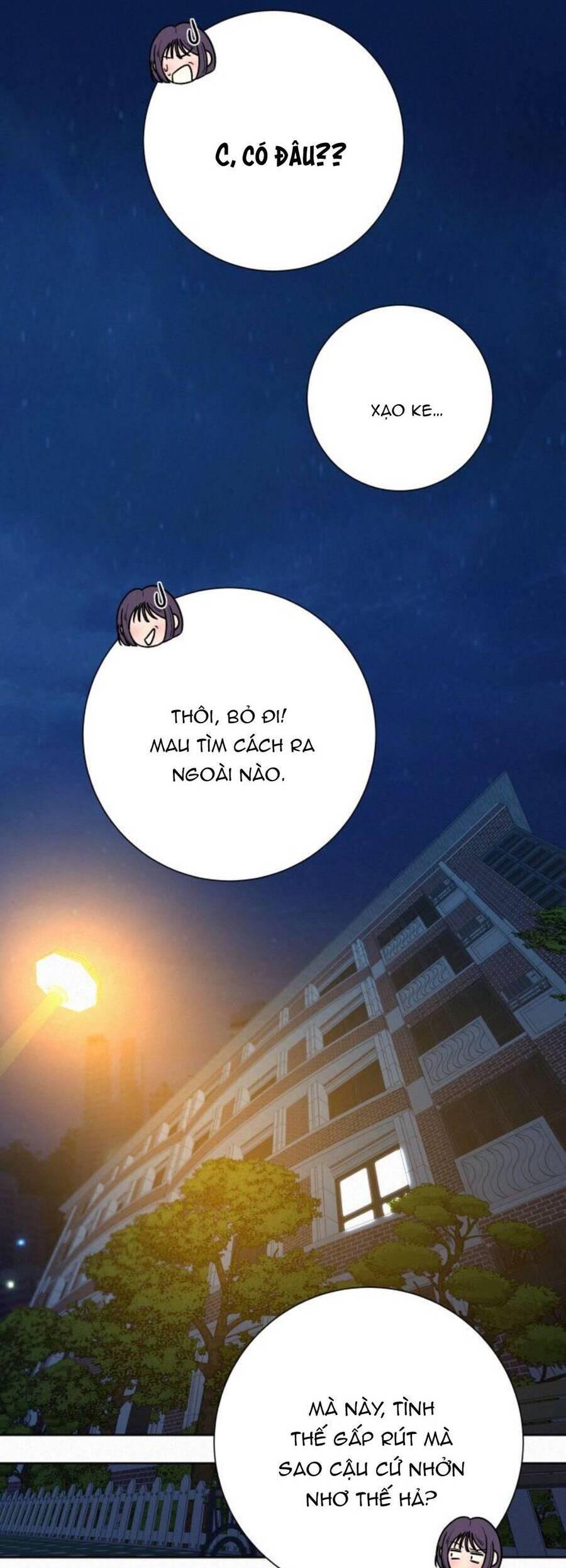 Tình Yêu Trong Sáng 