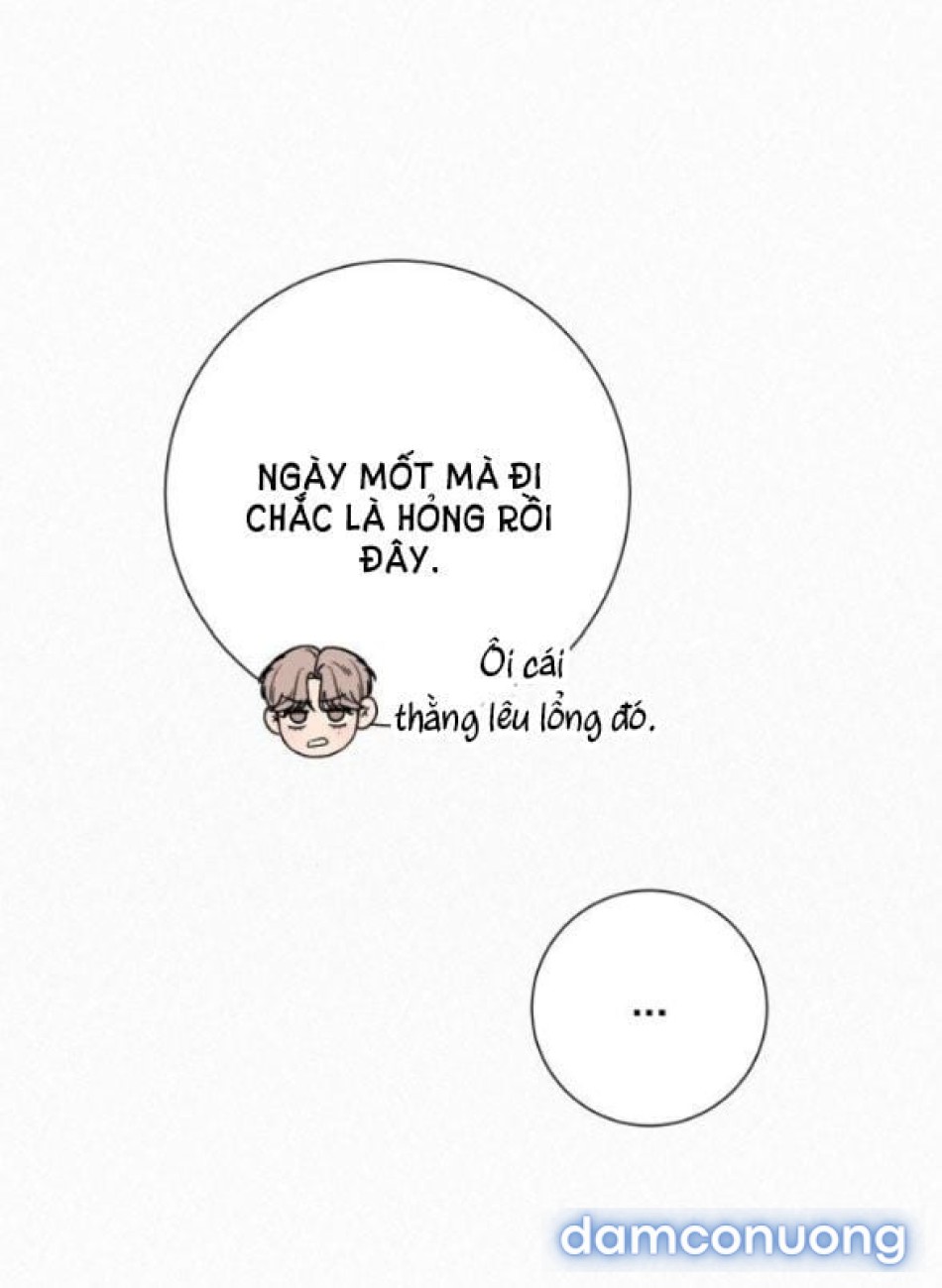 Tình Yêu Trong Sáng 