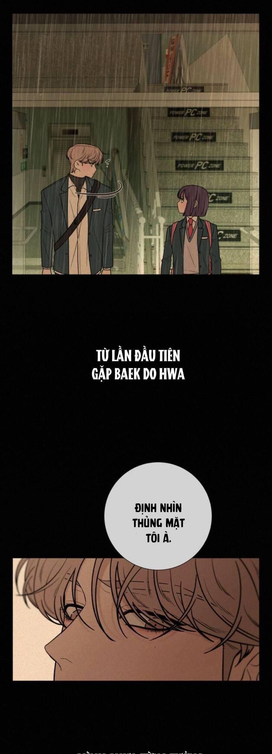 Tình Yêu Trong Sáng 