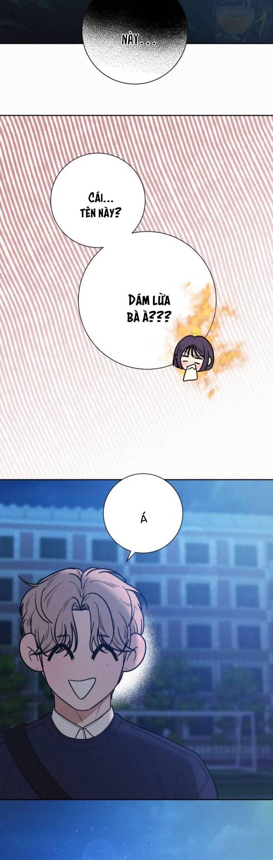 Tình Yêu Trong Sáng 