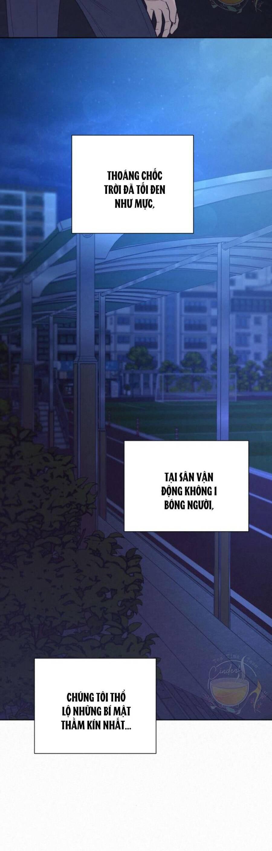 Tình Yêu Trong Sáng 