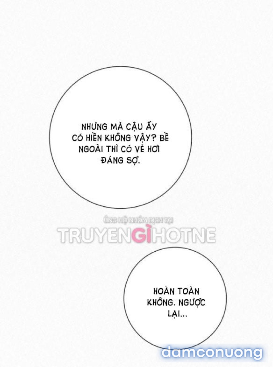 Tình Yêu Trong Sáng 