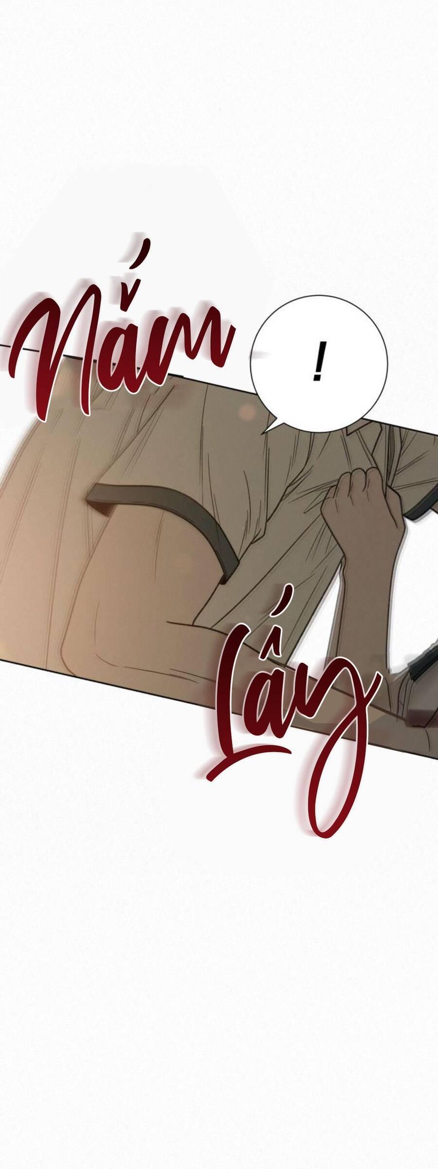 Tình Yêu Trong Sáng 