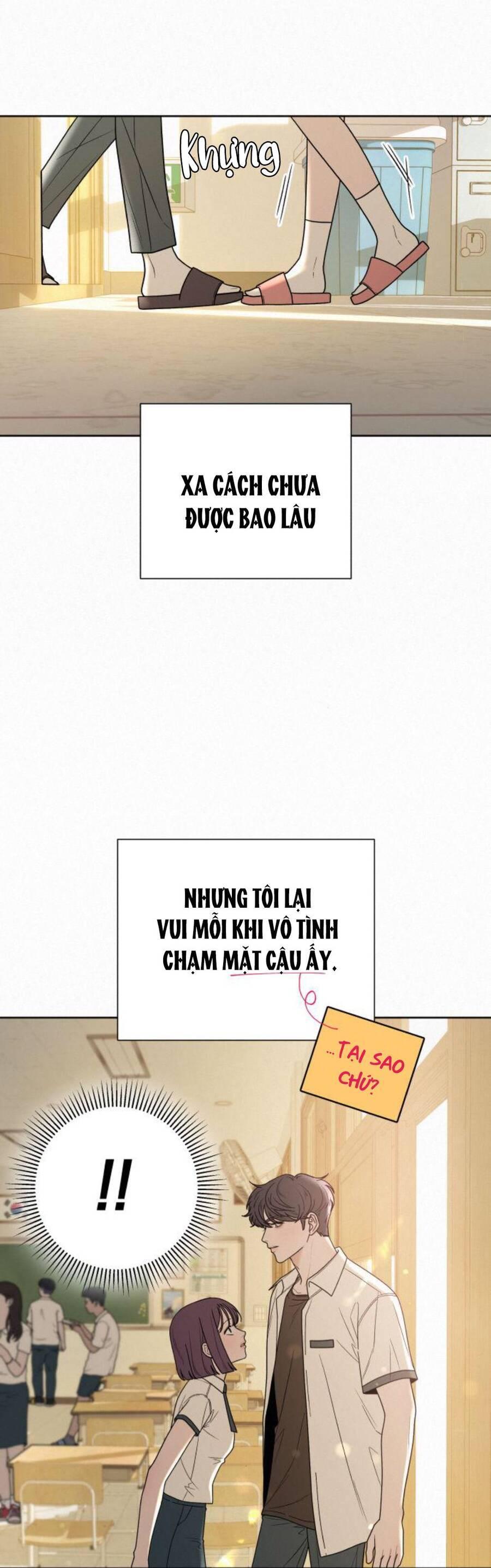Tình Yêu Trong Sáng 