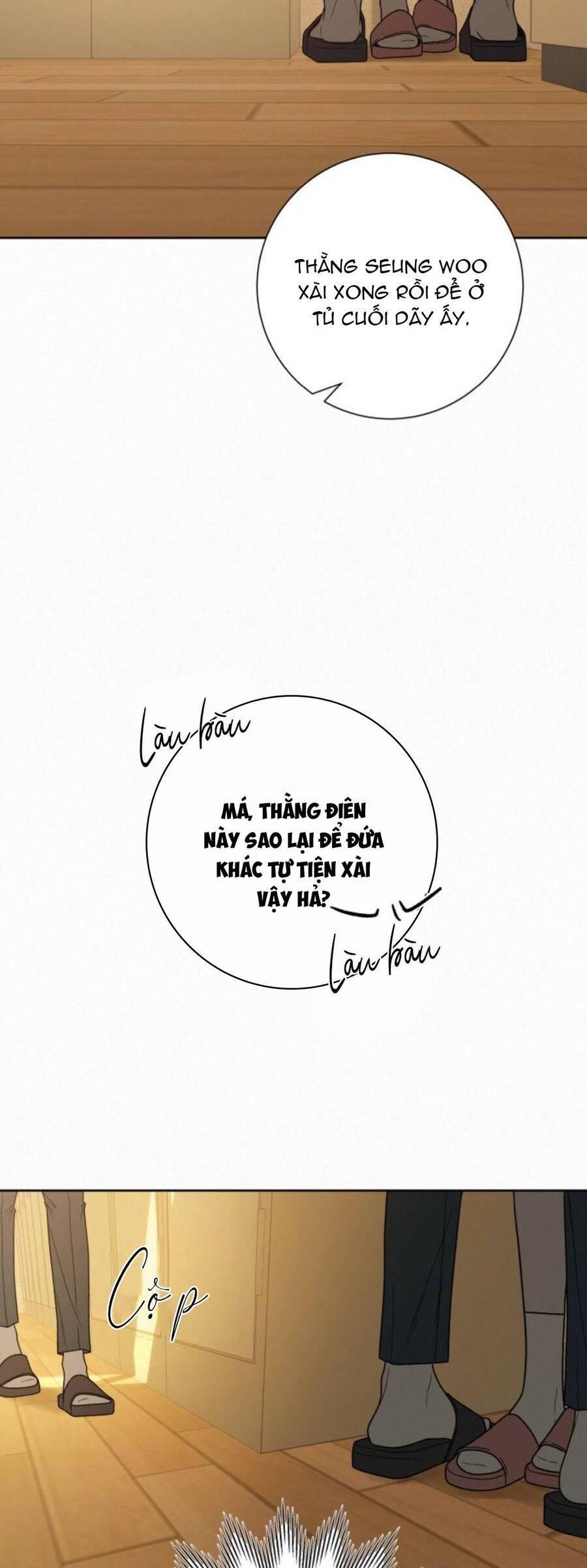 Tình Yêu Trong Sáng 
