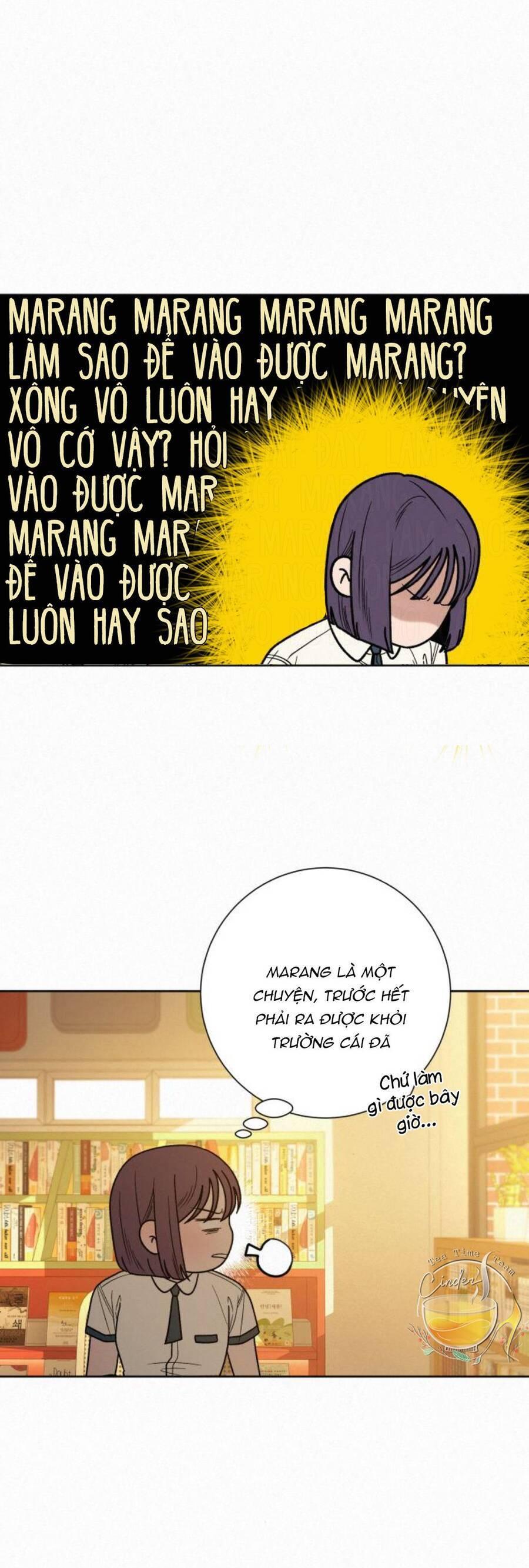 Tình Yêu Trong Sáng 